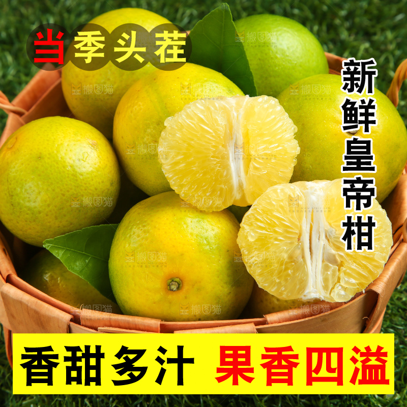 皇帝柑
