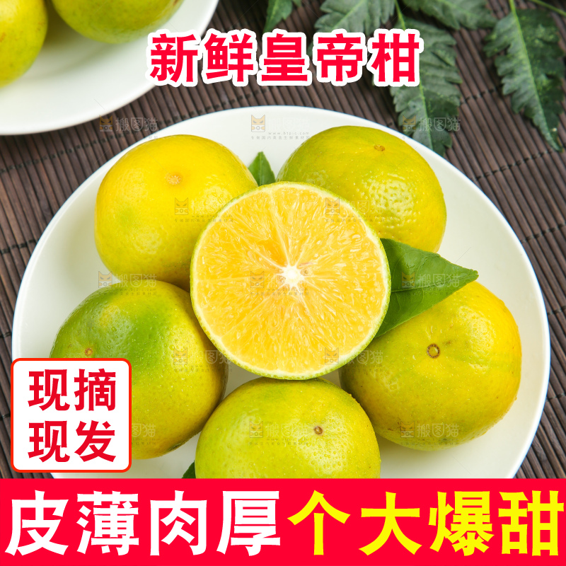 皇帝柑