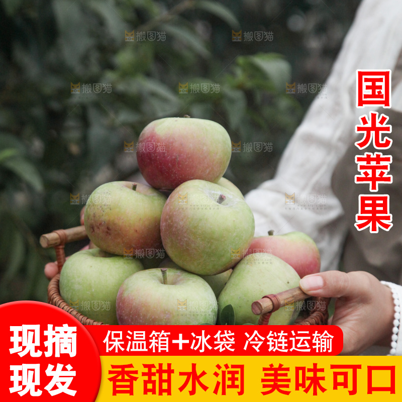 国光苹果