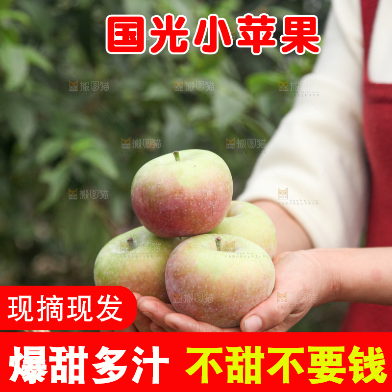 国光苹果