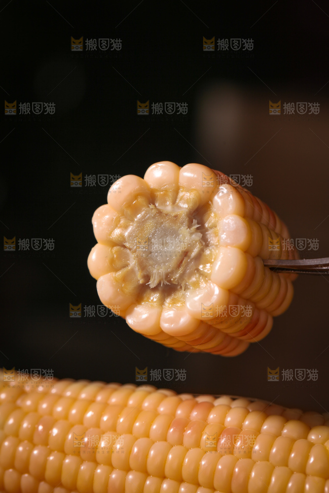 花糯玉米
