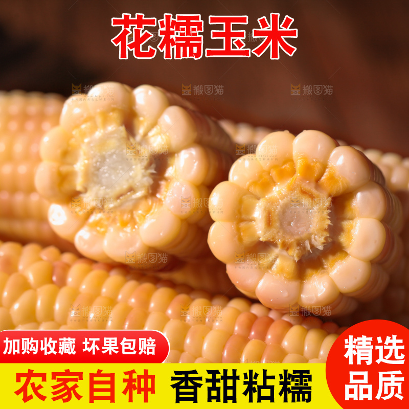 花糯玉米