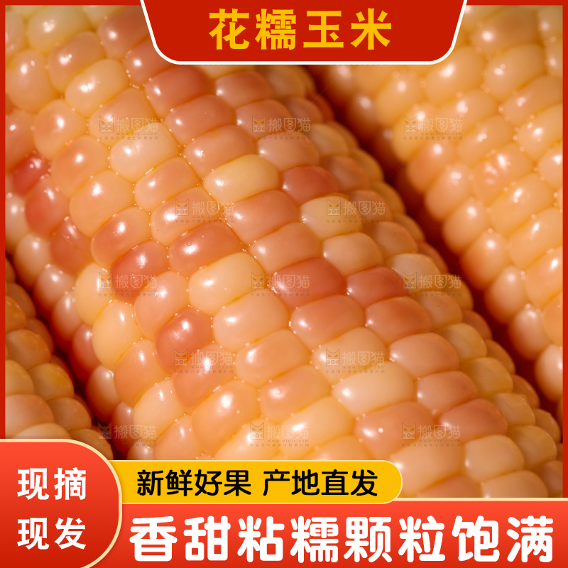 花糯玉米