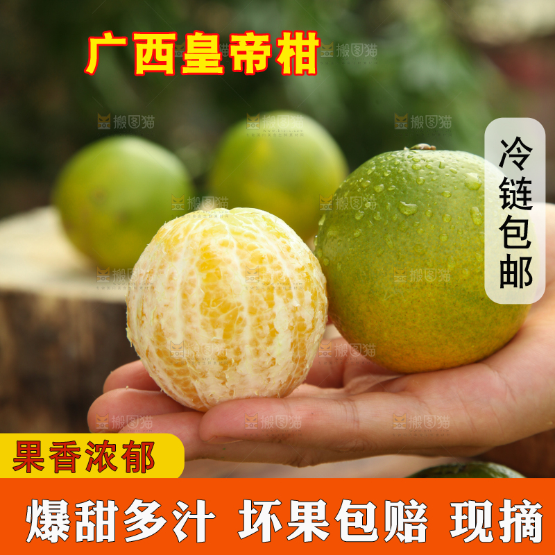 皇帝柑