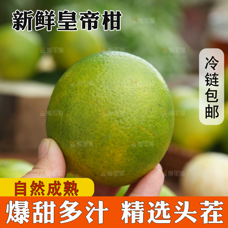 皇帝柑