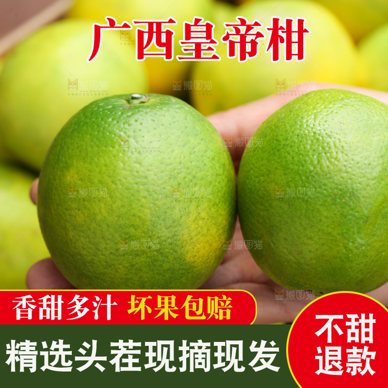 皇帝柑