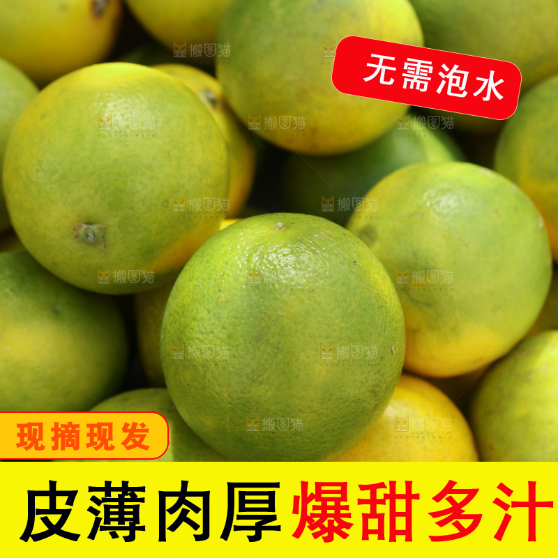 皇帝柑