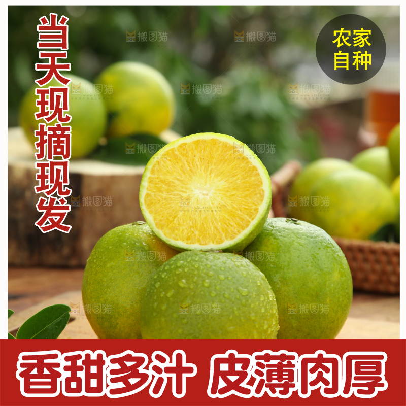 皇帝柑