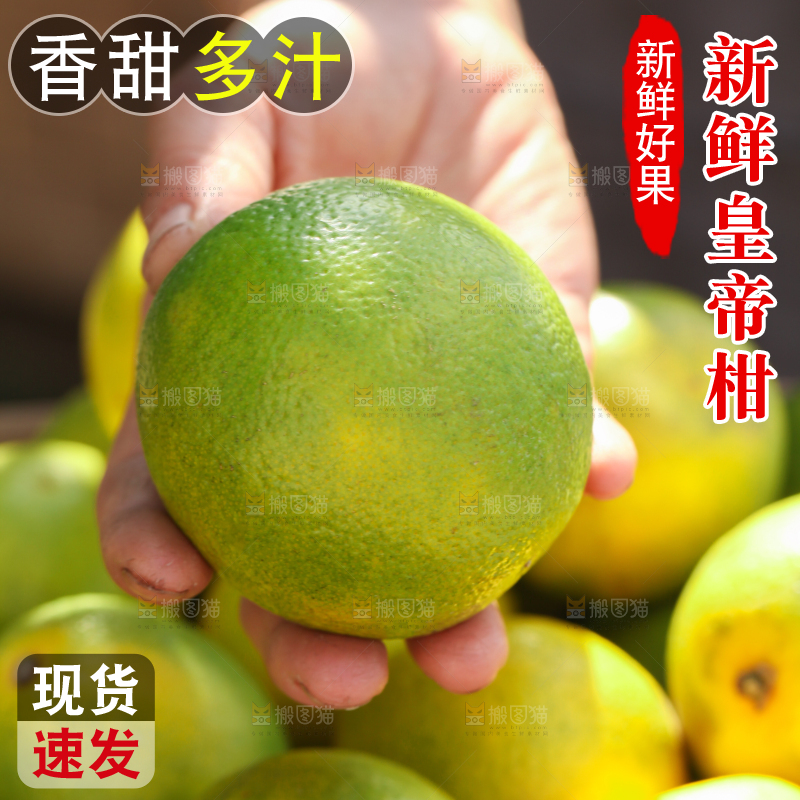 皇帝柑