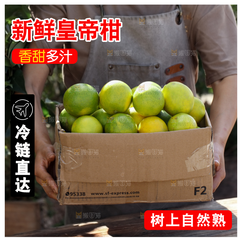 皇帝柑