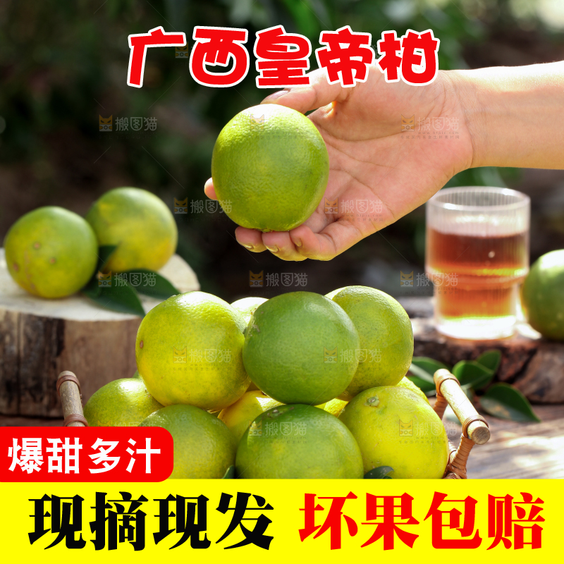 皇帝柑