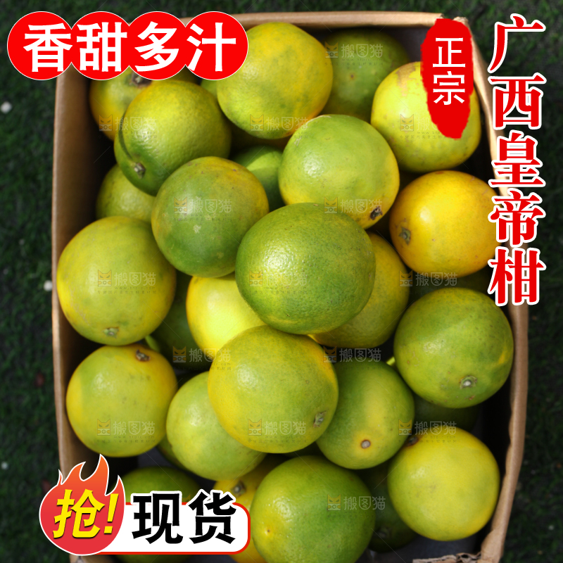 皇帝柑
