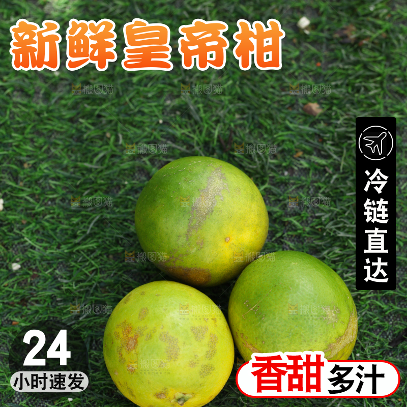 皇帝柑