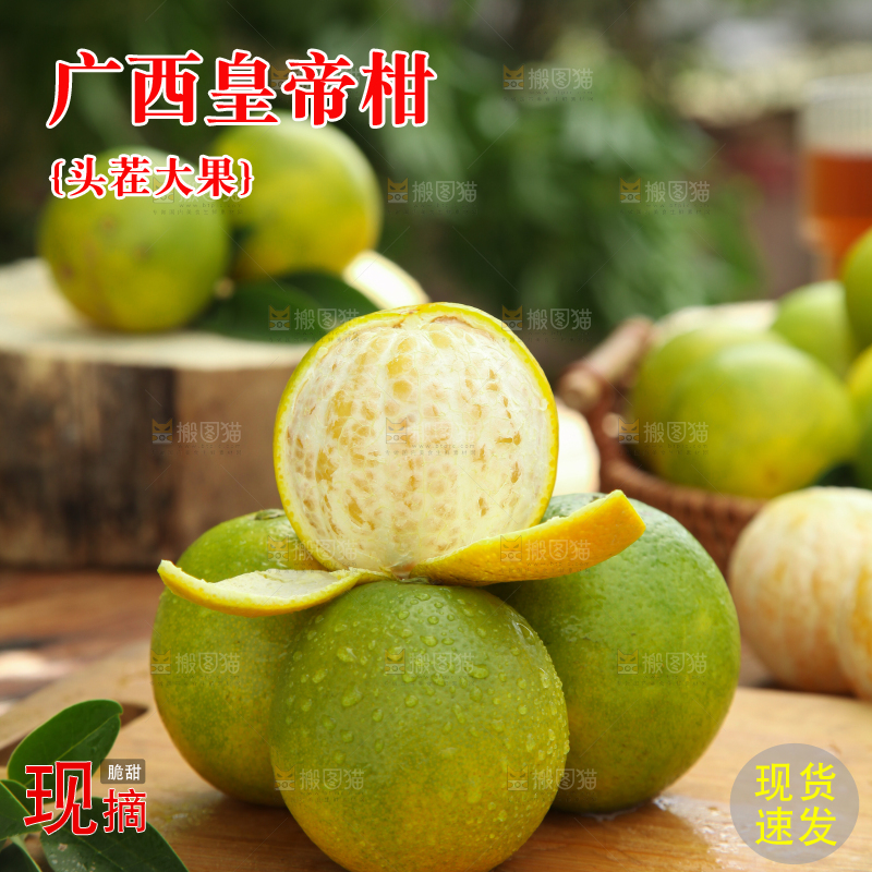 皇帝柑