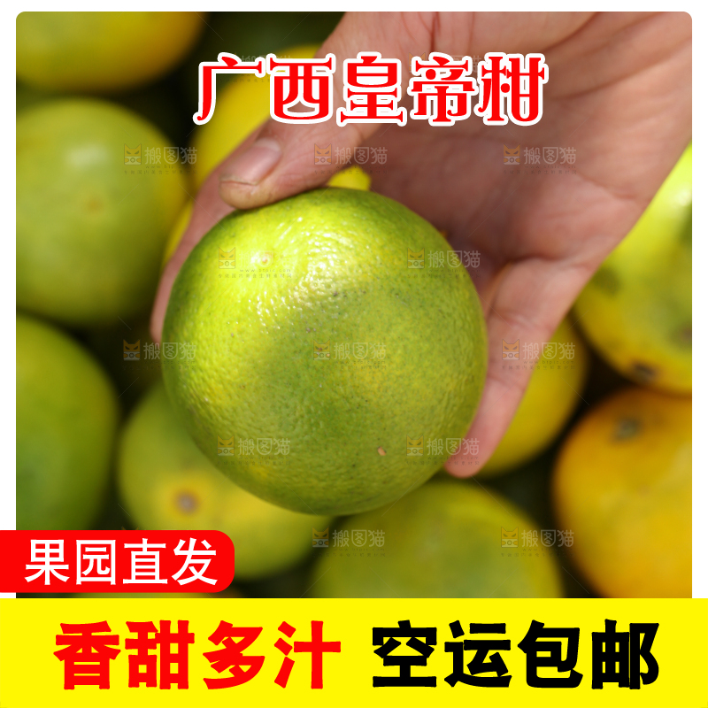 皇帝柑