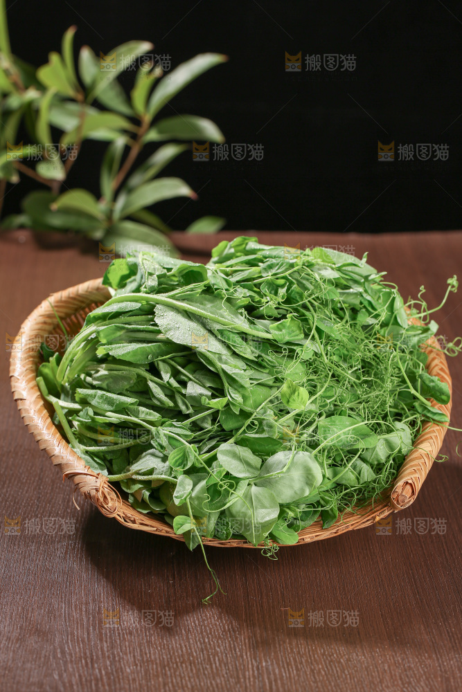 豌豆尖