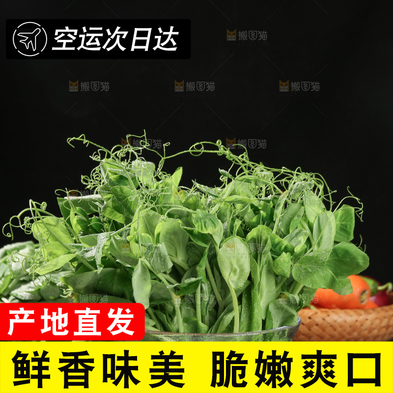 豌豆尖