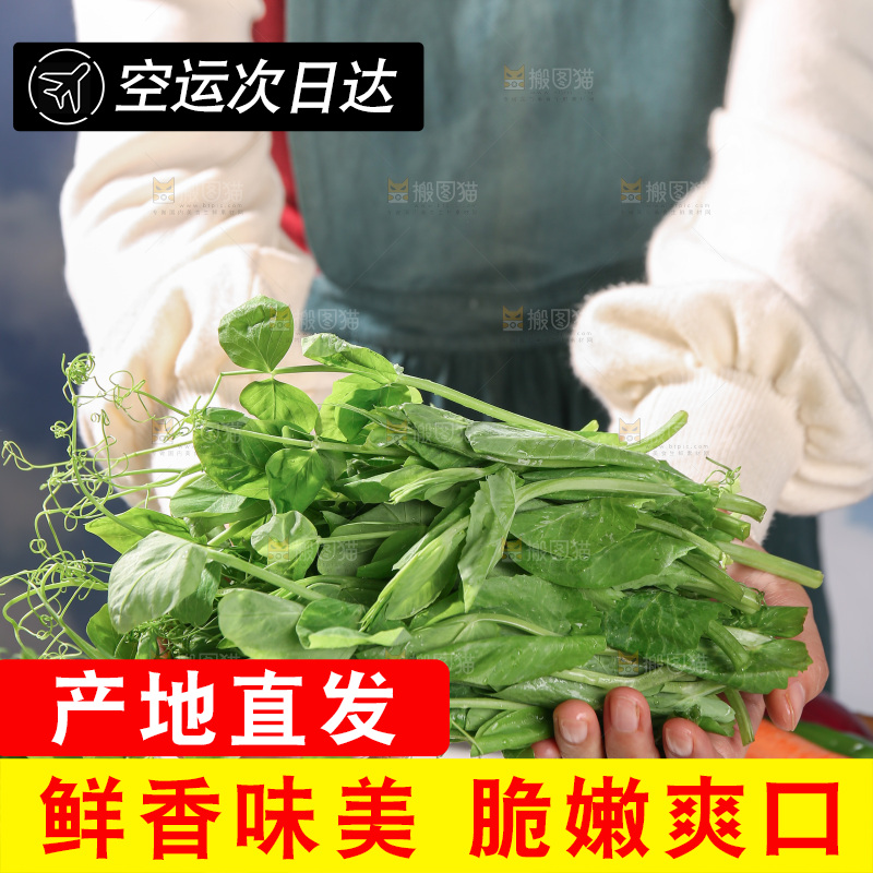 豌豆尖
