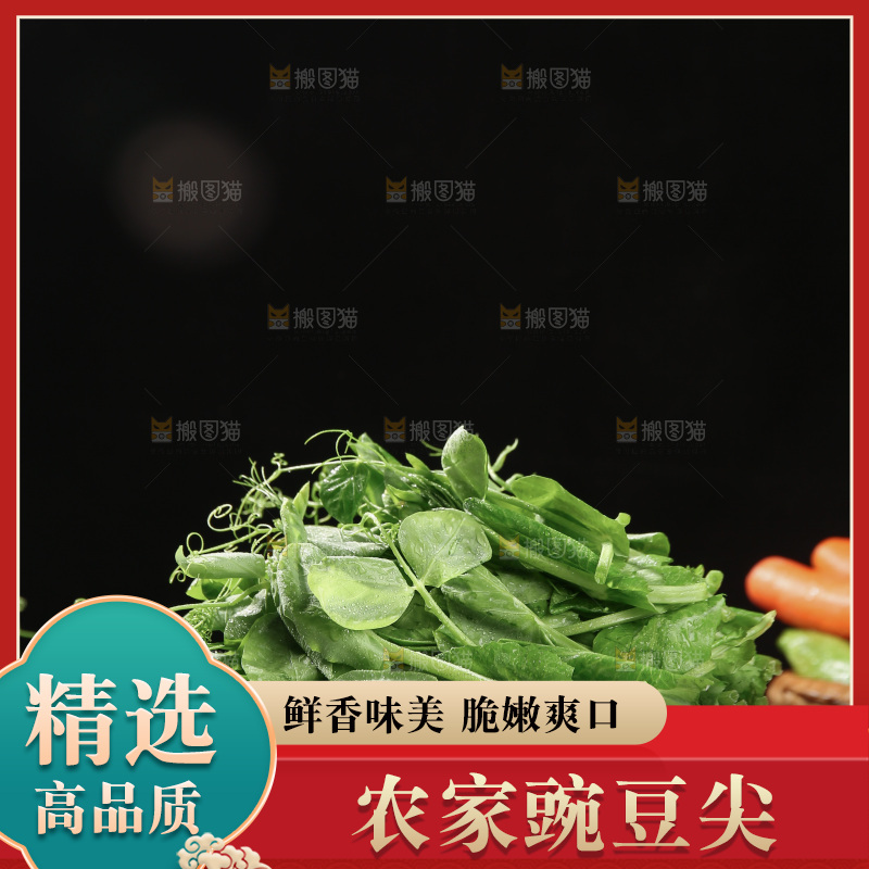 豌豆尖
