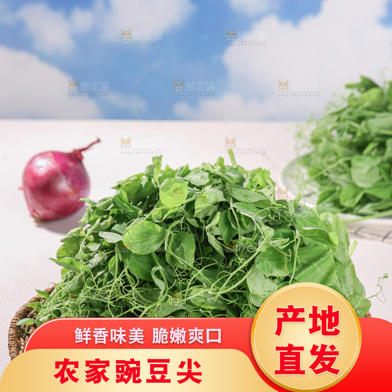 豌豆尖