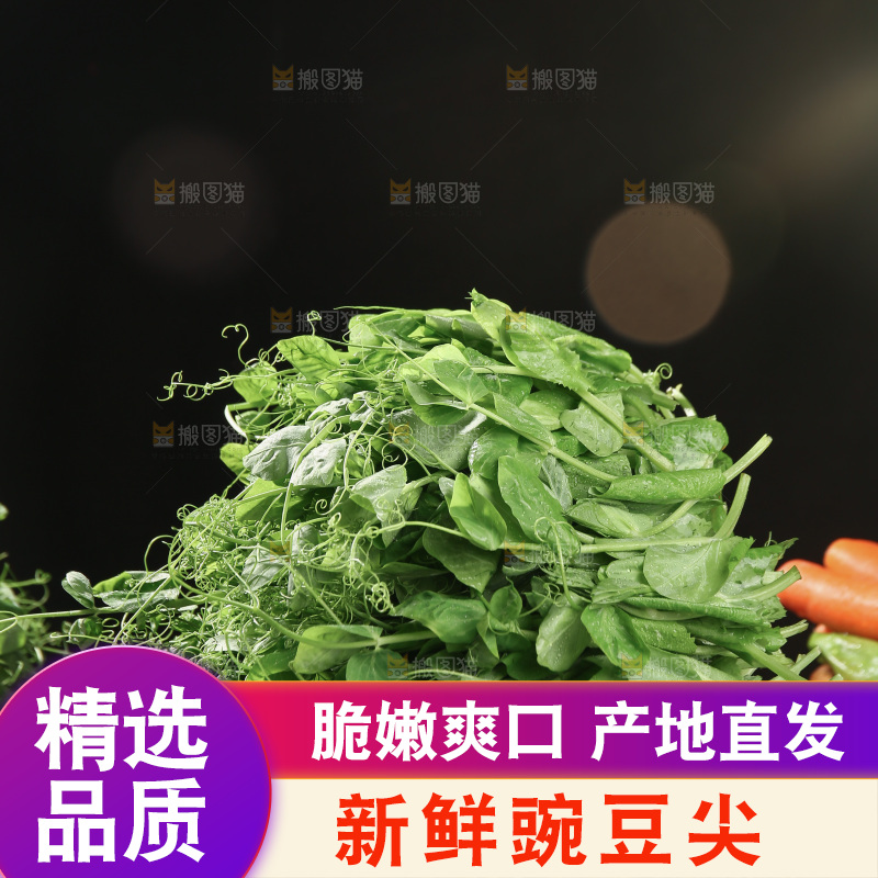 豌豆尖