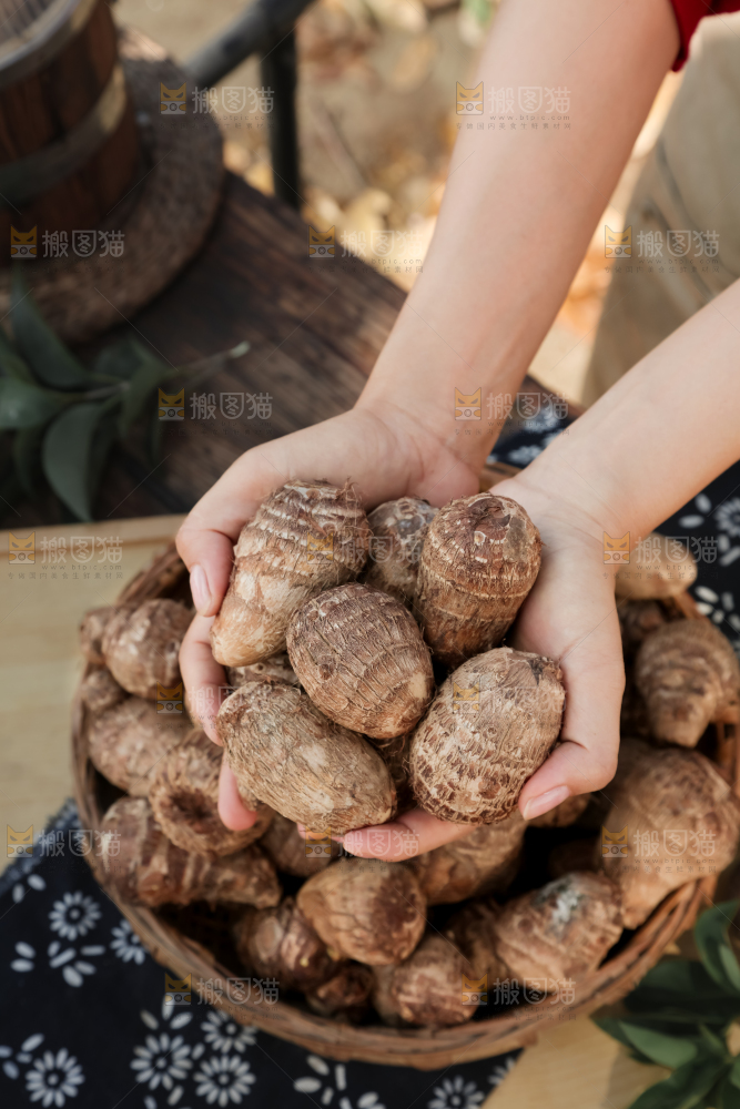 小芋头