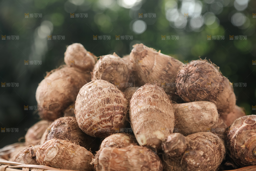 牛奶小芋头