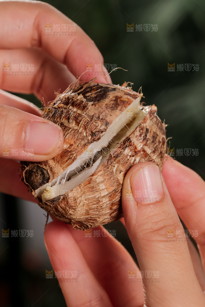 牛奶小芋头