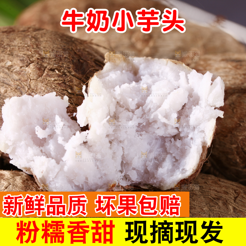 牛奶小芋头