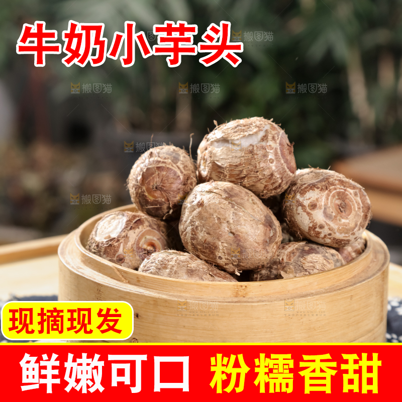 牛奶小芋头