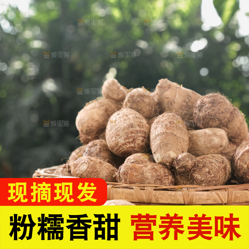 牛奶小芋头