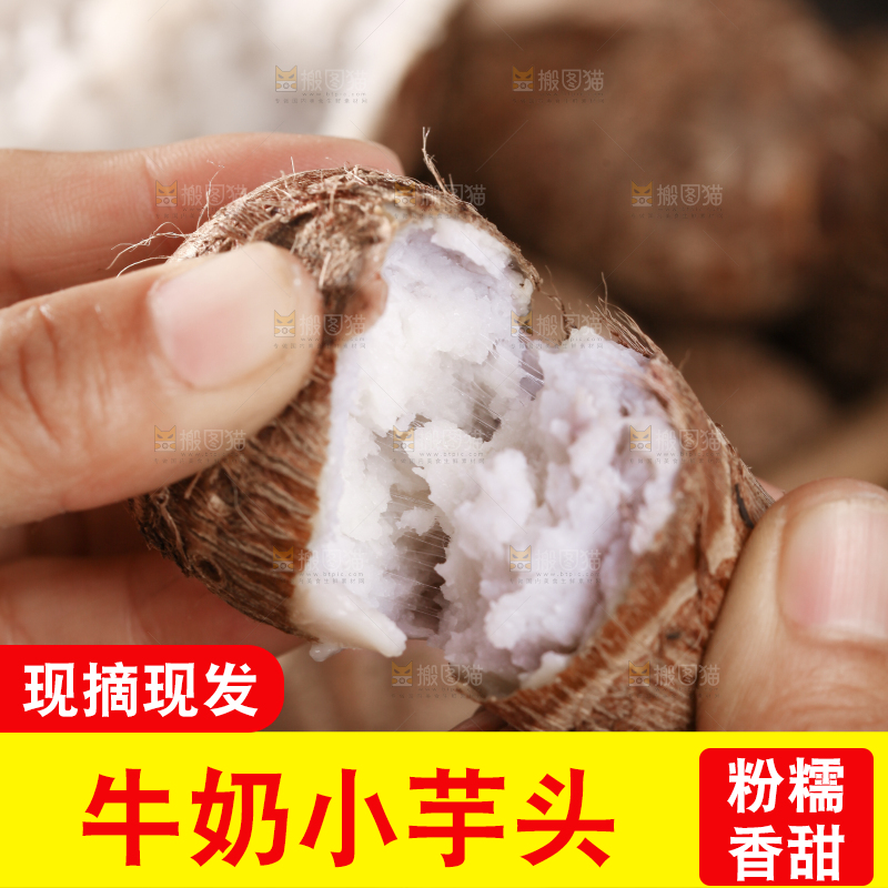 牛奶小芋头