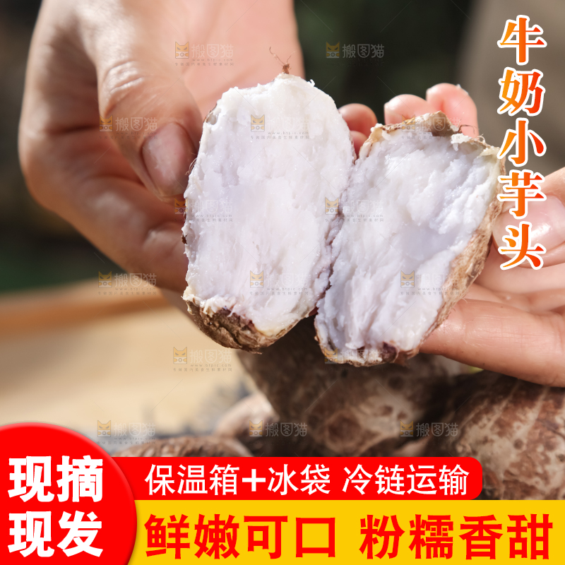 牛奶小芋头