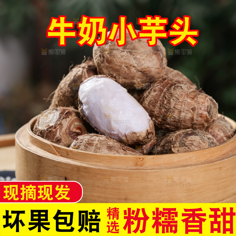牛奶小芋头