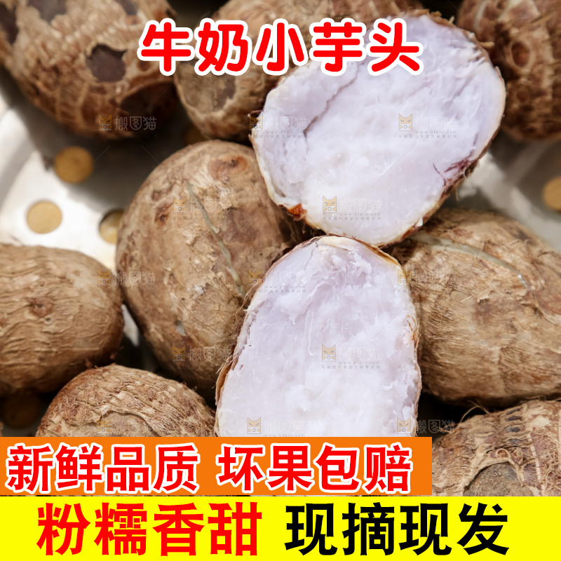 牛奶小芋头