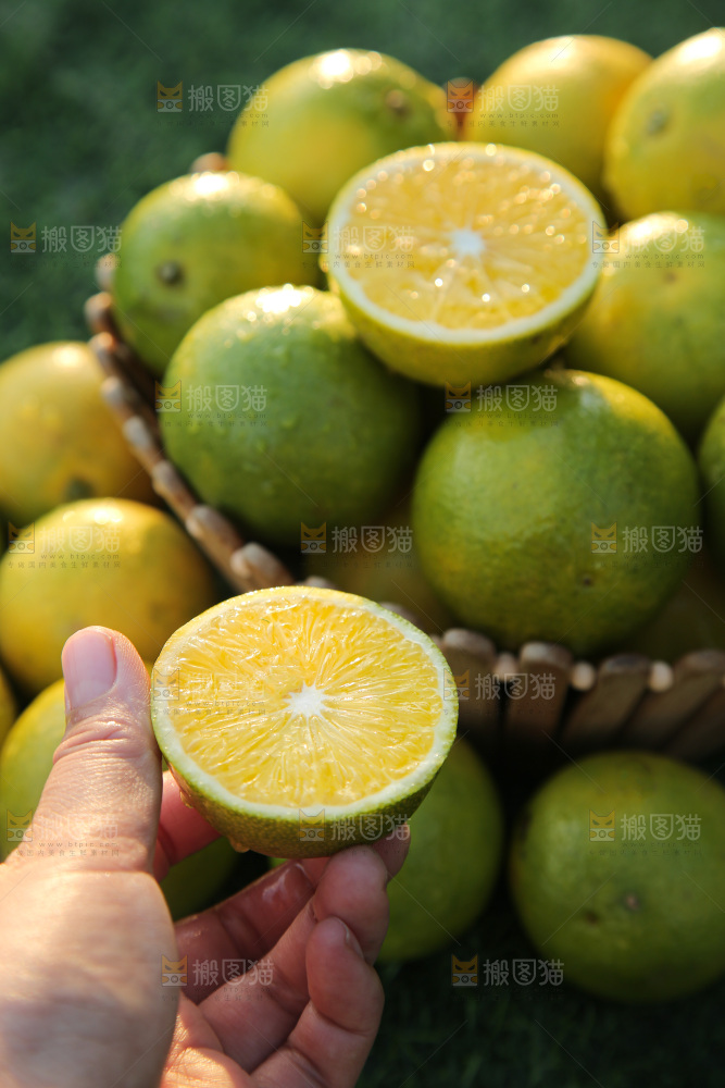 皇帝柑