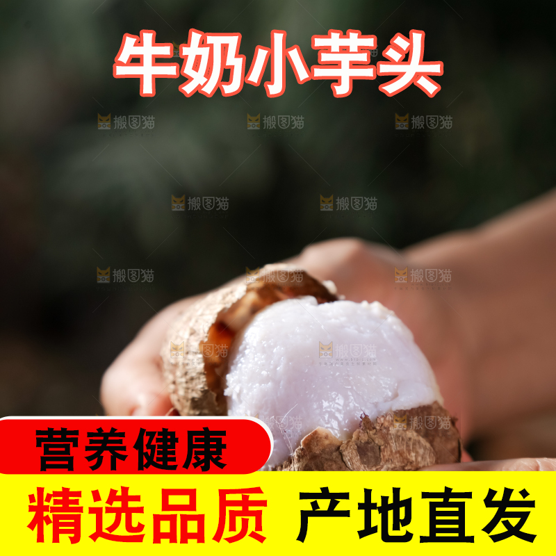 牛奶小芋头