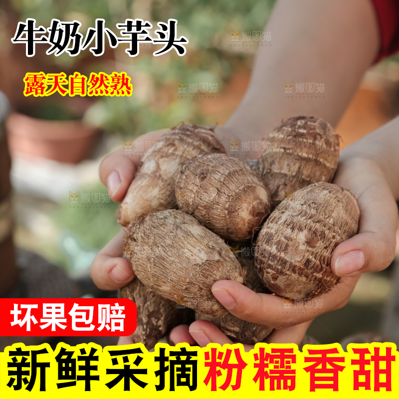 牛奶小芋头