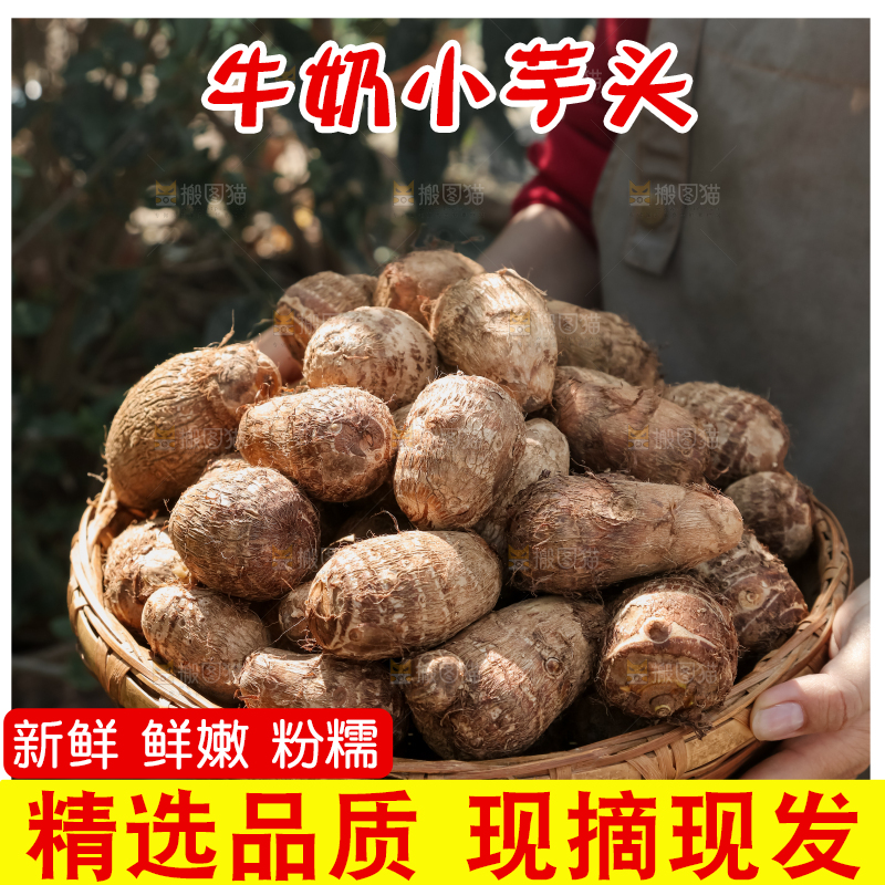 牛奶小芋头