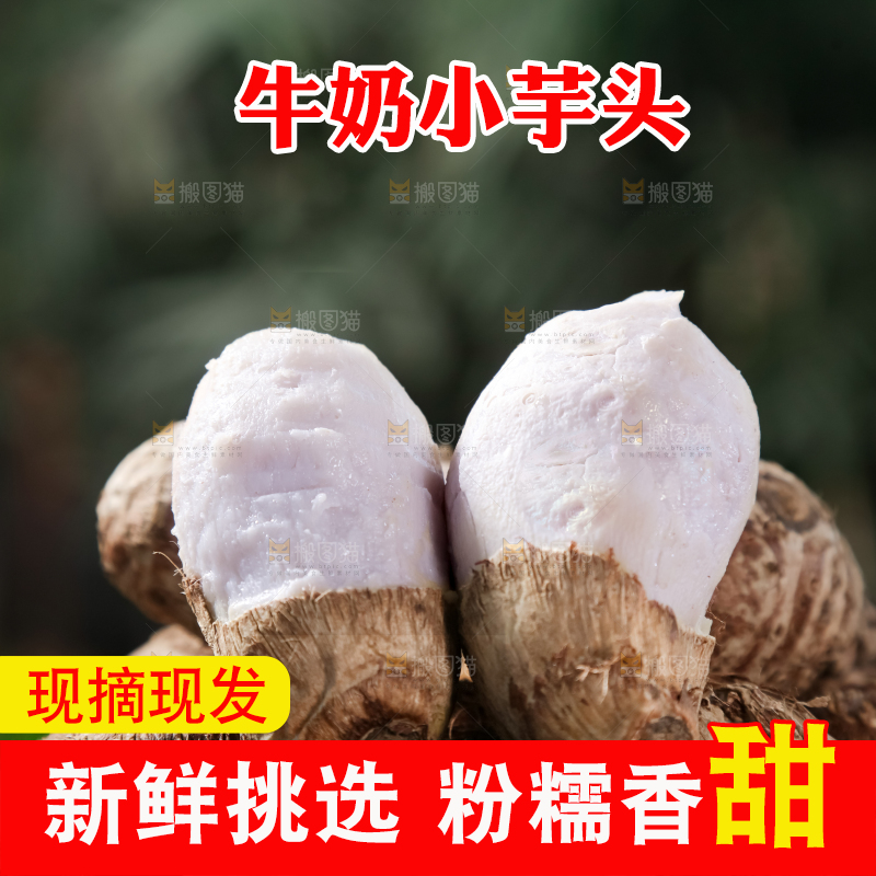 牛奶小芋头