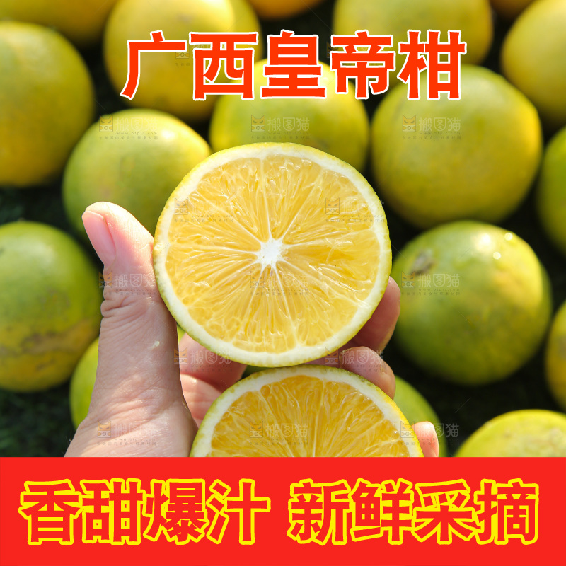 皇帝柑