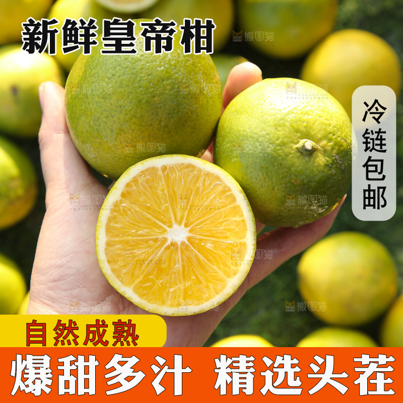 皇帝柑