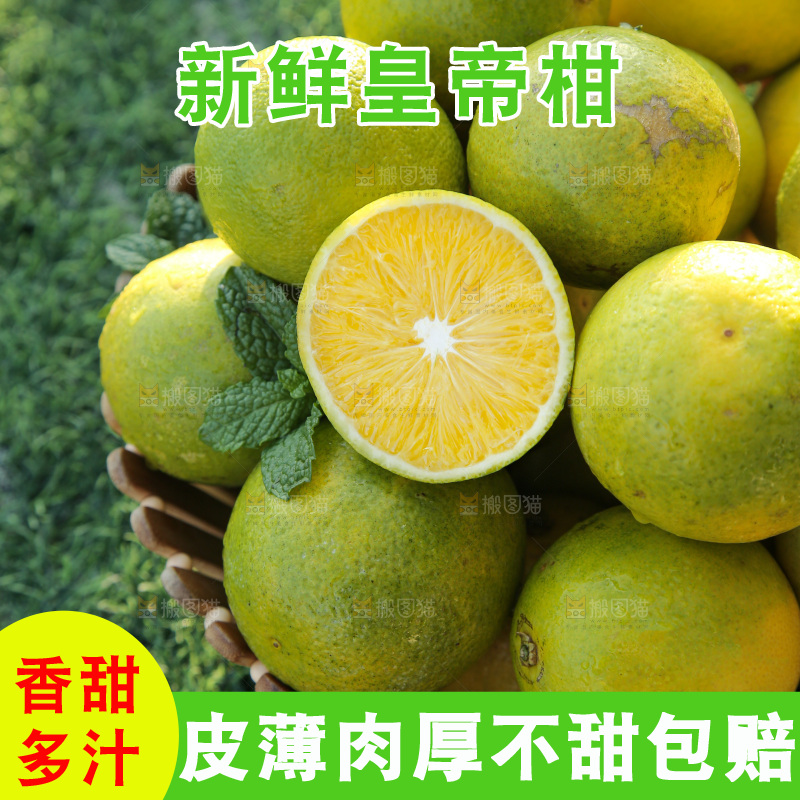 皇帝柑