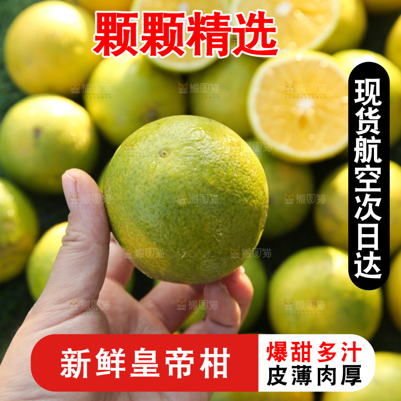 皇帝柑