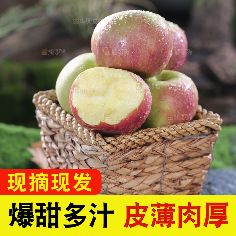 国光苹果