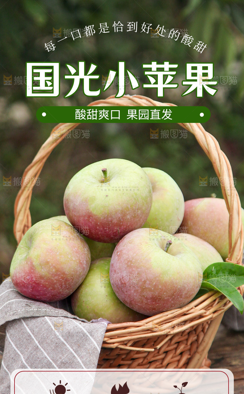 国光苹果详情页