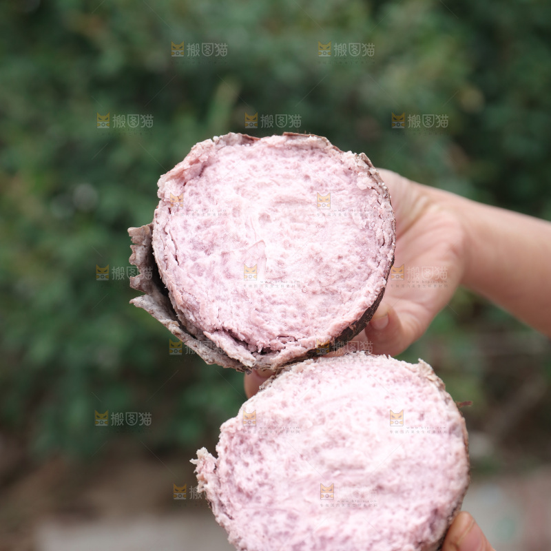 荔浦芋头