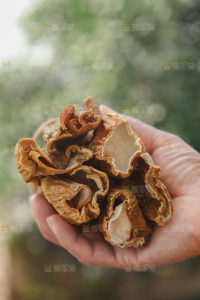 龙笋干
