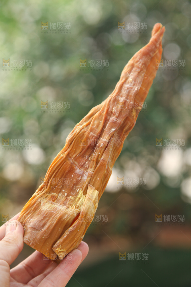 龙笋干