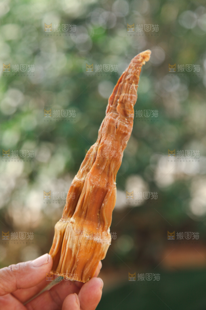 龙笋干